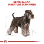 Breed Health Nutrition Miniature Schnauzer Adult 3 Kg - Image 6