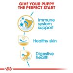 Breed Health Nutrition Pug Puppy 1.5 Kg - Image 4