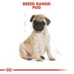Breed Health Nutrition Pug Puppy 1.5 Kg - Image 5