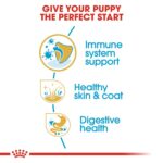 Breed Health Nutrition Shih Tzu Puppy 1.5 Kg - Image 3