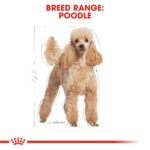 Poodle Power! Buy 2-Breed Health Nutrition Poodle Adult (Wet Food - Pouches) 12 x 85 g - Image 4