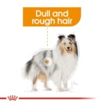 CANINE CARE NUTRITION - COAT BEAUTY (WET FOOD - POUCHES) - Image 2