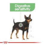 Canine Care Nutrition - Image 7
