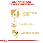 Breed Health Nutrition Dalmatian Adult 12 Kg - Image 4