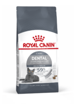 Dental Care