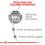 Feline Care Nutrition Dental Care - Image 3