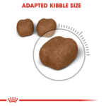 Feline Care Nutrition Dental Care - Image 4