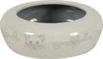 Ceramic Bowl