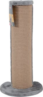 Corner Scratching Pole