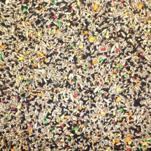 Canary Budget Mix 20 Kg