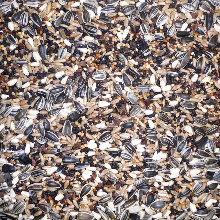 Love Bird Mix 1KG Love Bird Mix 1KG