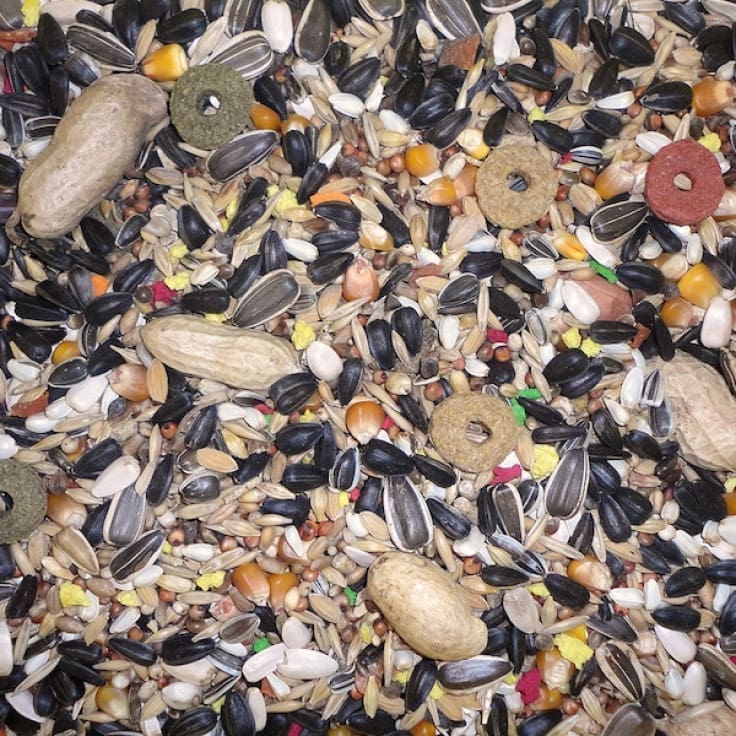 birds_parrotfood Parrot Special Mix 800 G - Image 1