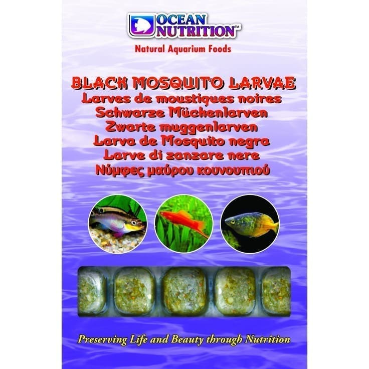 black_mosquito_larvae Black Mosquito Larvae 100 G - Image 1