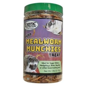 Mealworm Munchies Treat 1.96 Oz (55 G)