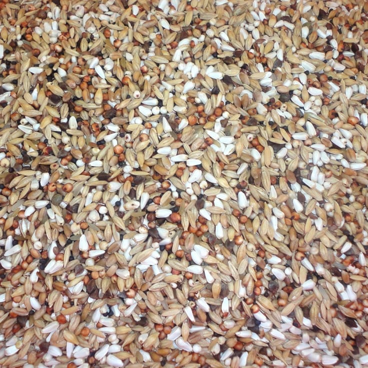 pigeons_depurative Depurative 20 Kg - Image 1