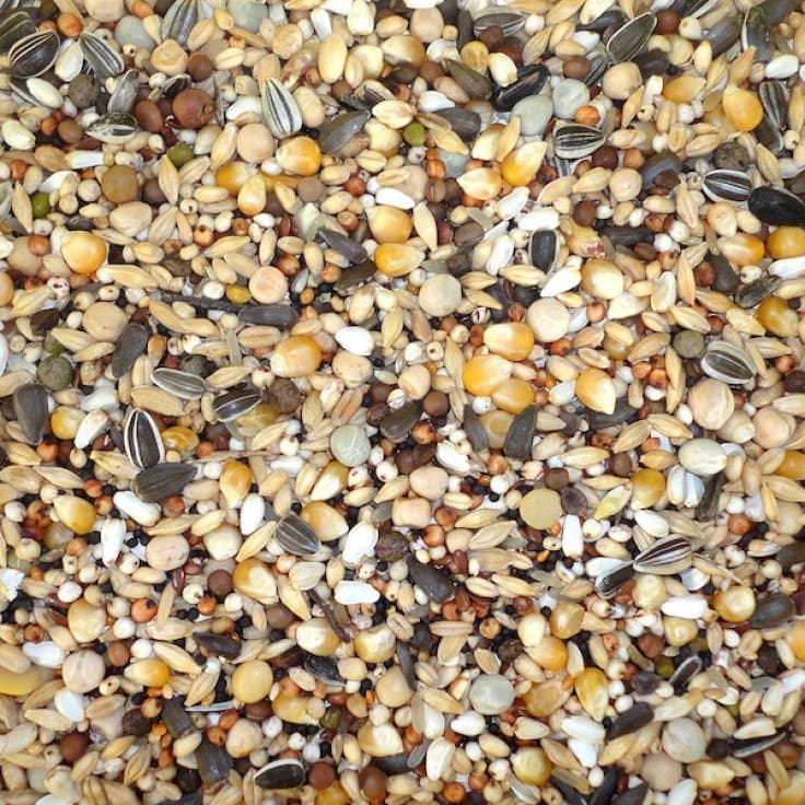 pigeons_moulting Moulting Diet 20 Kg - Image 1