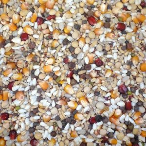 Racing Special Derwa Hot Climate 20 Kg