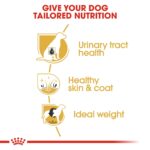Breed Health Nutrition Bichon Frise Adult 1.5 Kg - Image 5