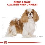 Breed Health Nutrition Cavalier King Charles Adult 1.5 Kg - Image 2