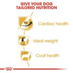 Breed Health Nutrition Cavalier King Charles Adult 1.5 Kg - Image 4
