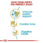 Breed Health Nutrition Cavalier King Charles Puppy 1.5 Kg - Image 5