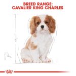 Breed Health Nutrition Cavalier King Charles Puppy 1.5 Kg - Image 2