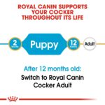 BREED HEALTH NUTRITION COCKER - PUPPY 3 KG - Image 3