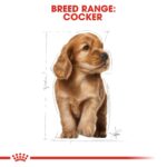 BREED HEALTH NUTRITION COCKER - PUPPY 3 KG - Image 2