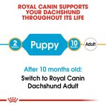 Breed Health Nutrition Dachshund Puppy 1.5 Kg - Image 2