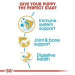 Breed Health Nutrition Dachshund Puppy 1.5 Kg - Image 4