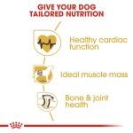 Breed Health Nutrition Rottweiler Adult 12 Kg - Image 3