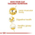 Feline Breed Nutrition Siamese Adult 2 Kg - Image 3