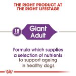 Size Health Nutrition Giant Adult 15 Kg - Image 3