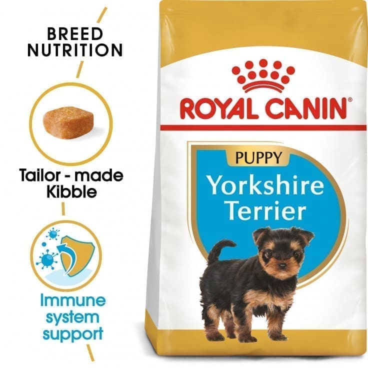 ro188770 BREED HEALTH NUTRITION YORKSHIRE PUPPY