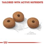 CANINE CARE NUTRITION - Image 2