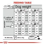 CANINE CARE NUTRITION - Image 4