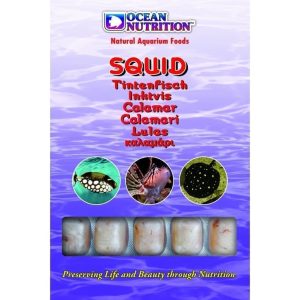 Squid 100 G