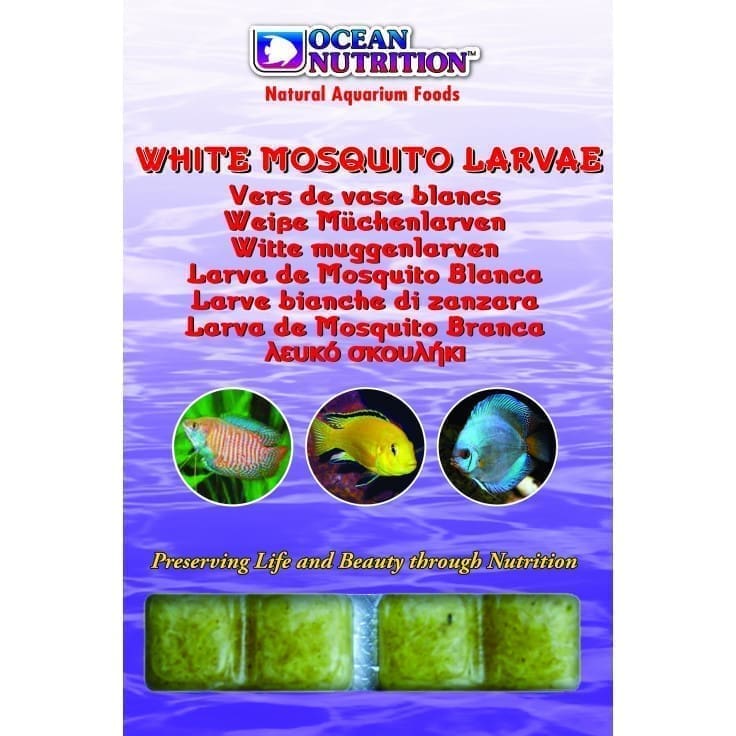 white_mosquito_larvae White Mosquito Larvae 100 G - Image 1