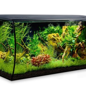 Fluval Flex Aquarium - Kit 123L- Black