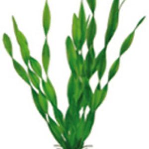 Artificial plant - Vallisneria 34 cm