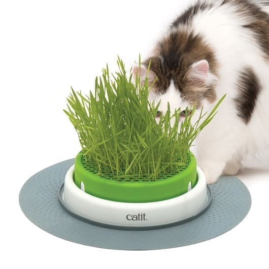 161fb7b2-1d52-4ef7-9384-e781a1ee4362.jpg Catit Senses 2.0 - Grass Planter - Image 1