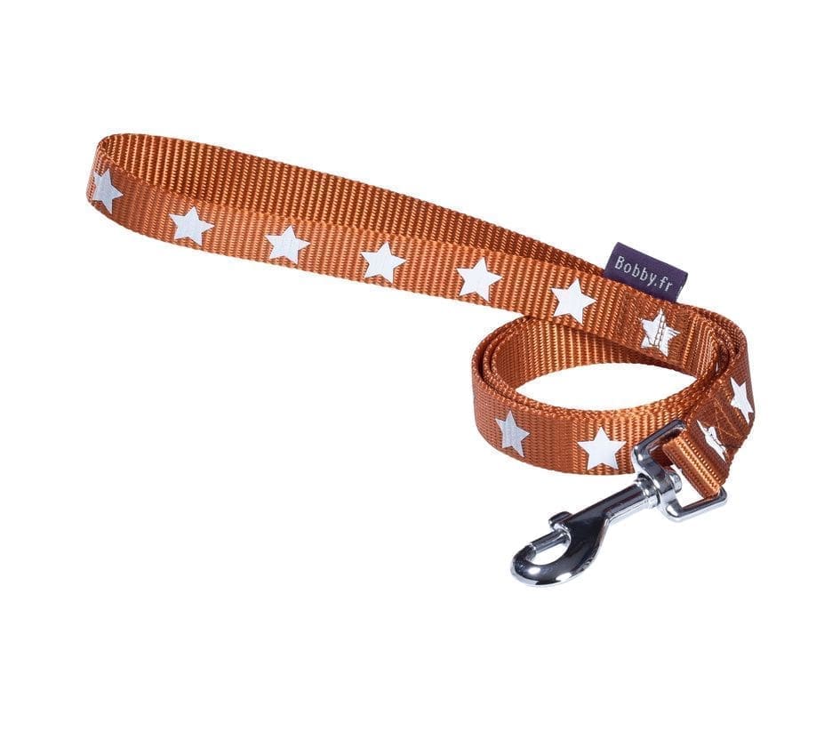 169110_2.jpg Midnight Lead - Orange-Medium - Image 1