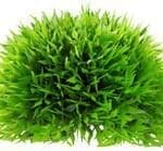 Artificial plant - Plant Ball Medium