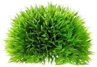 2657_41544.jpg Artificial plant - Plant Ball Medium - Image 1