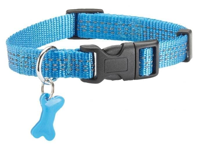 2901_CLSAFE1B25.jpg Safe Collar - Image 1