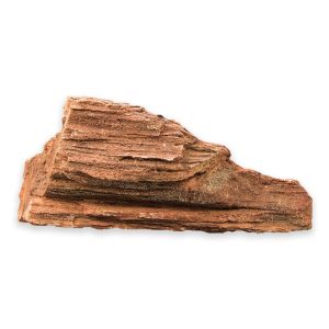 Timber Rock - 4 - Xtra Large