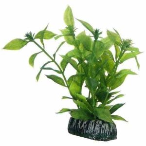 Hobby Artificial Plant – Hygrophila Small