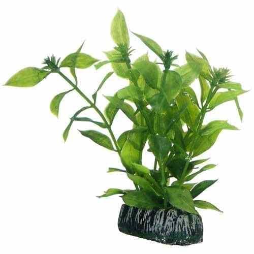 4118_Hygrophila13.jpg Artificial plant - Hygrophila small - Image 1