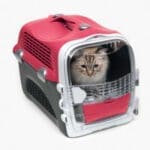 CABRIO CAT CARRIER SYSTEM - Image 3