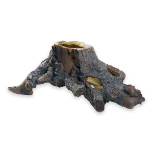 Stump Cavity - 2